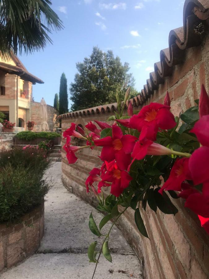 Villa Residenza Le Querce Trilocale Fossato di Vico Esterno foto